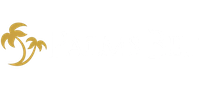 palmsbet gift